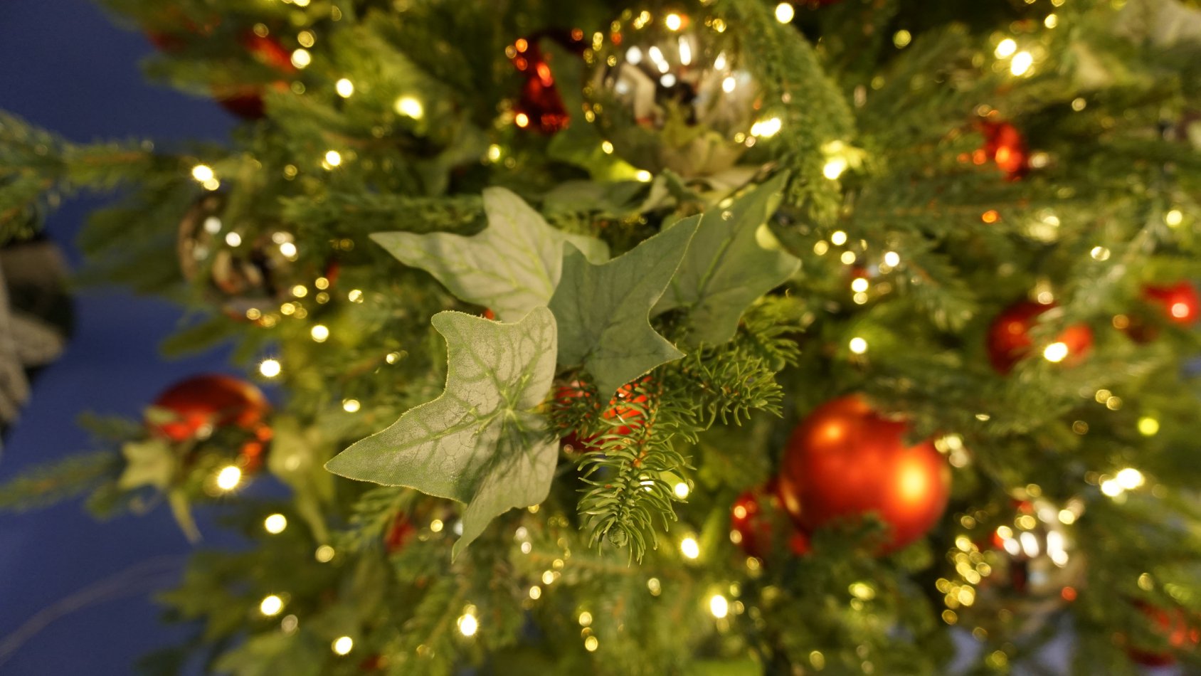 Springfield Decorations and Display Ltd