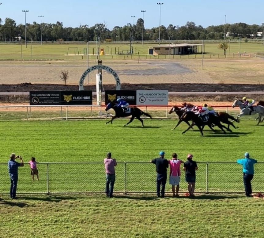Riverdene Stud | Wagga Wagga NSW