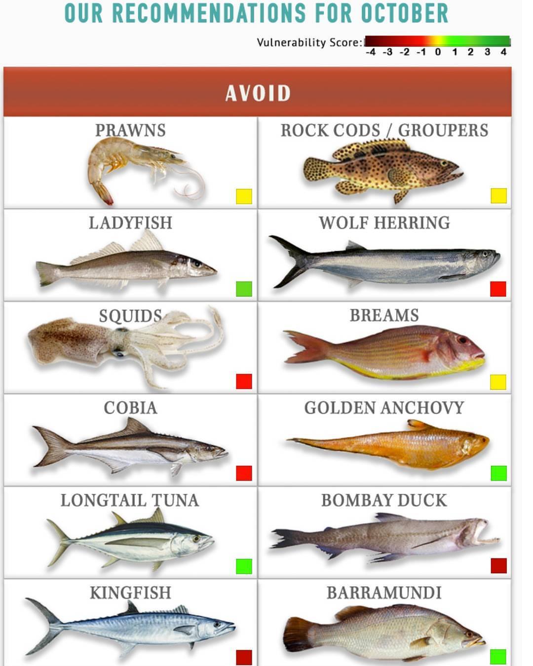 Know Your Fish India - What's out for October ?? . Here are some ...