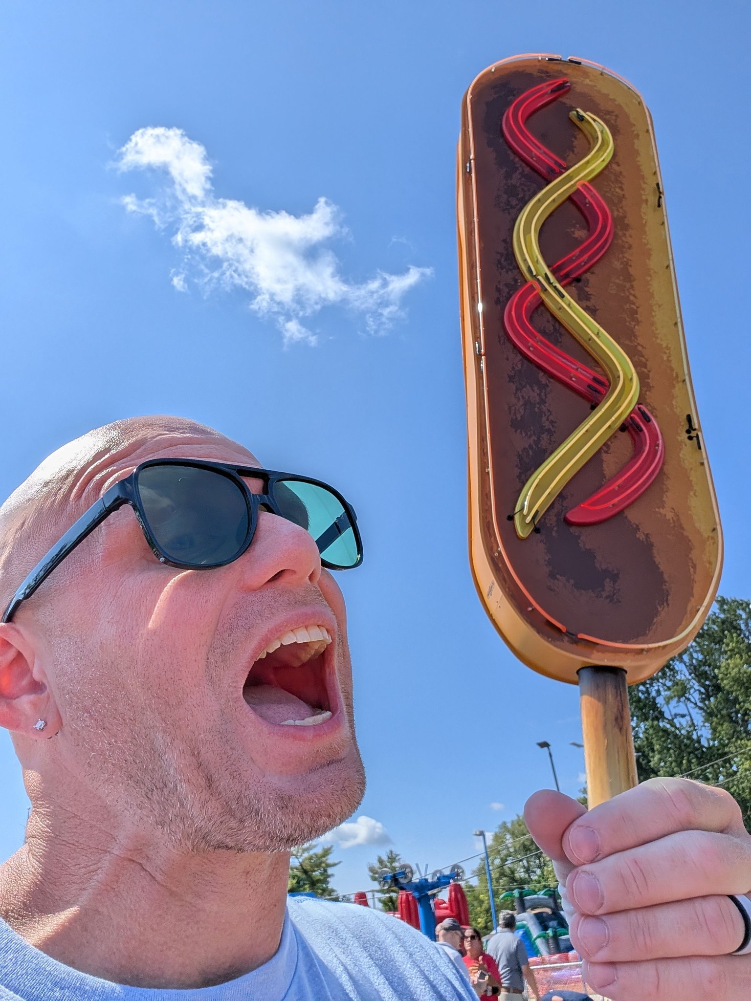 Cozy Dog Drive In | Springfield IL