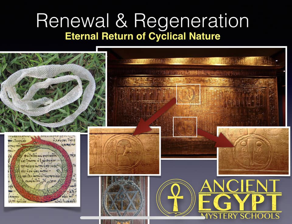Ancient - DID YOU KNOW the first known appearance of the ouroboros ...
