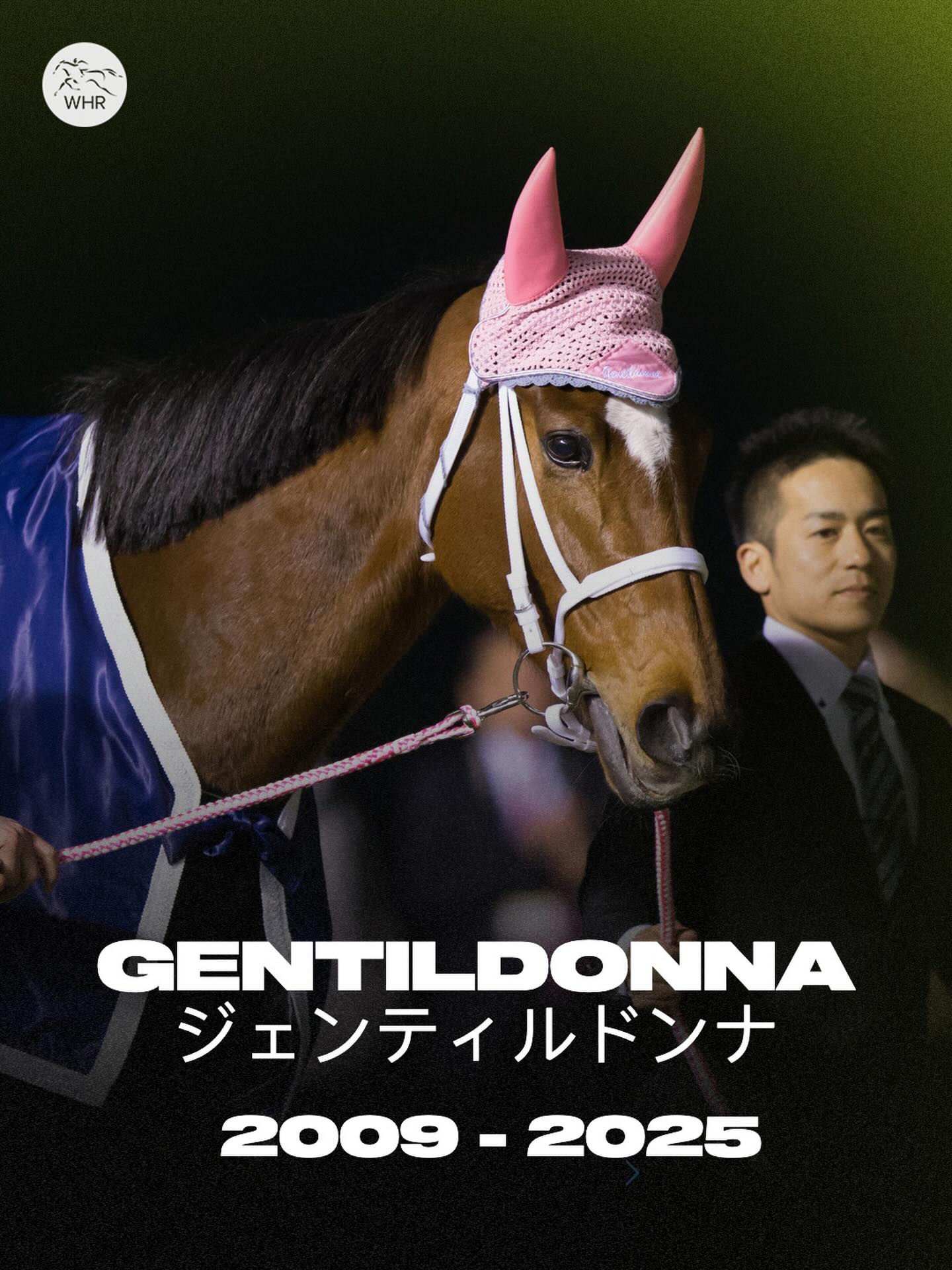 GENTILDONNA ジェンティルドンナ has sadly passed away aged 16 