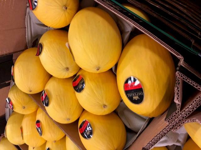 Corefresh Ltd - The quality of our Brazilian Melons 🍉 just... | Facebook