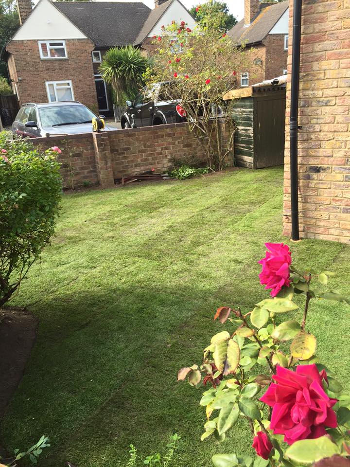 3J's Garden Maintenance & Landscaping | Woking