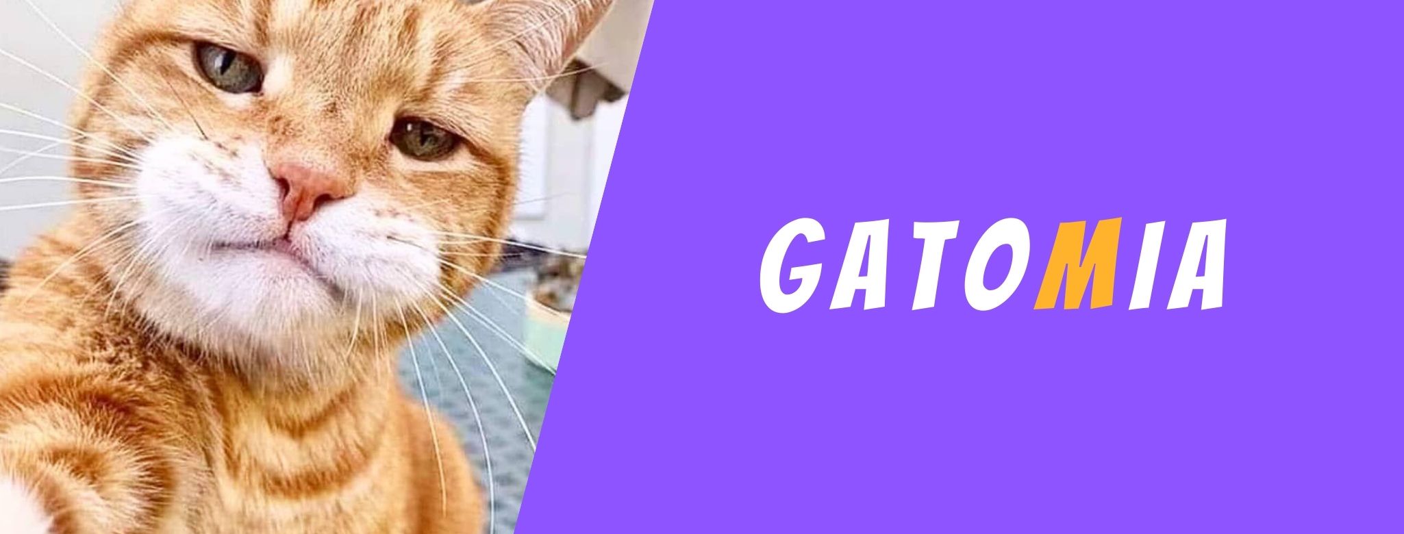Giocattolo Interattivo Per Gatti A Forma Di Palla Con Movimento A 360° – Due Velocità, Ricaricabile USB, Per Interni Ed Esterni