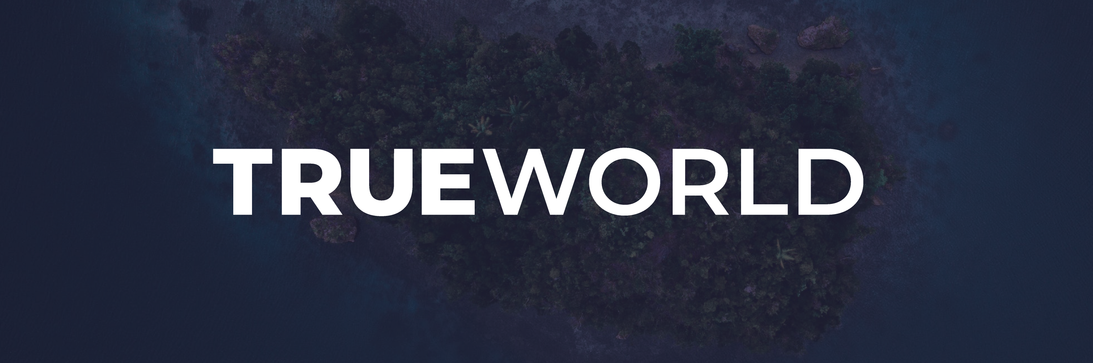 TrueWorld