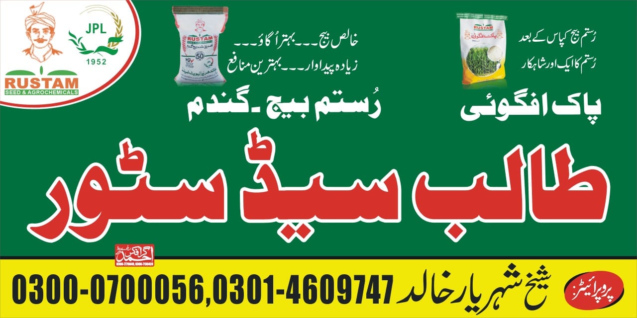 Talib Seed Store