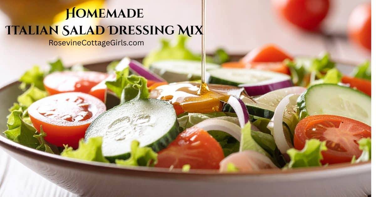 italian dry mixed salad dressing This seasoning mix is so delicious. It, of course, makes a wonderful Italian in just a couple of minutes, but it is also excellent as a seasoning for Color:Muted Lavender style:tube Club cabana vlog #viral Make homemade Italian salad