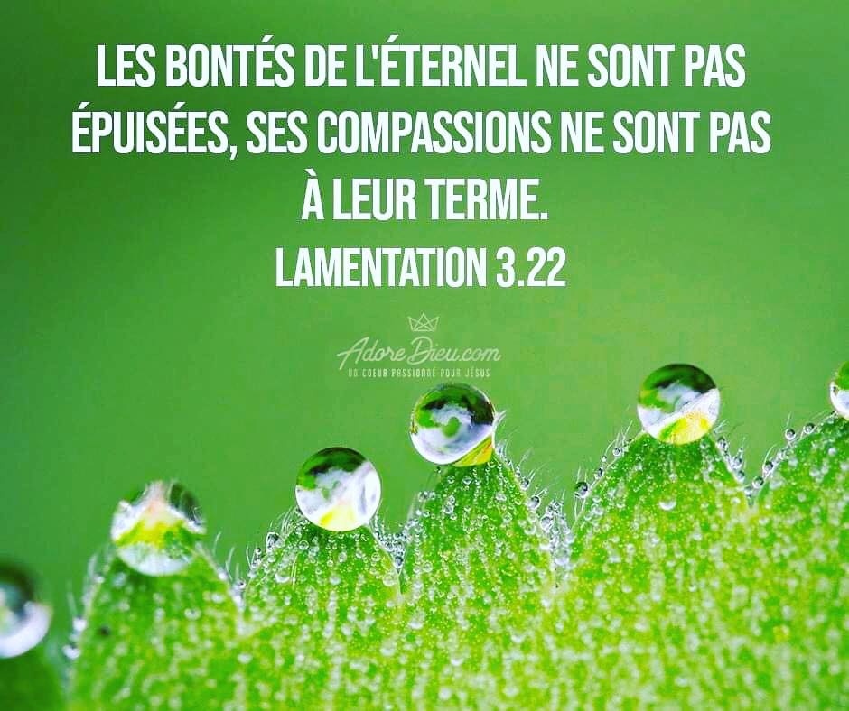 Verset Du Jour