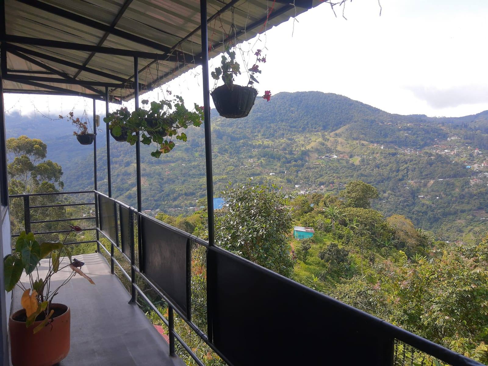 Vendo o permuto hermosa finca de descaso cerca a Felidia (La leonera)