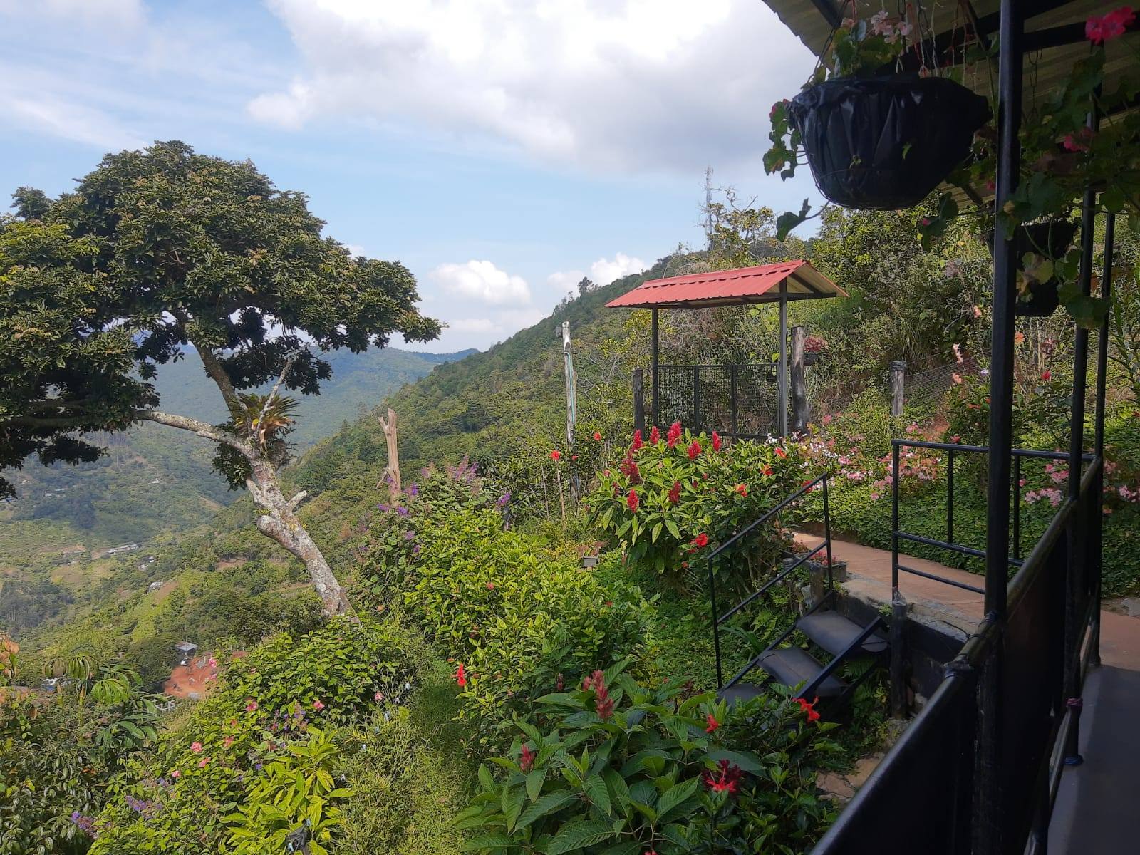 Vendo o permuto hermosa finca de descaso cerca a Felidia (La leonera)