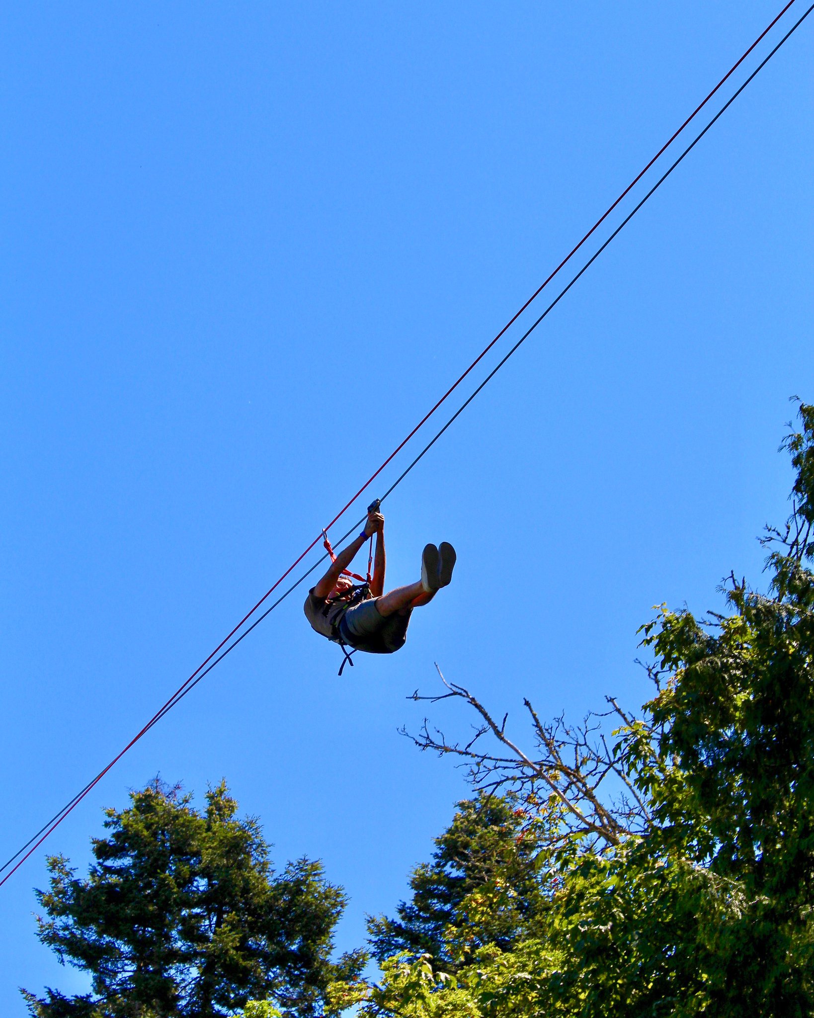 Our Friends down at WildPlay Victoria... - WildPlay Nanaimo