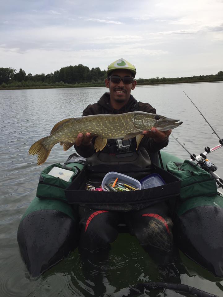 Kool and the fish