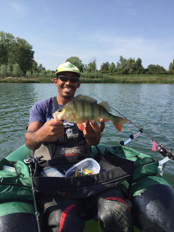 Kool and the fish
