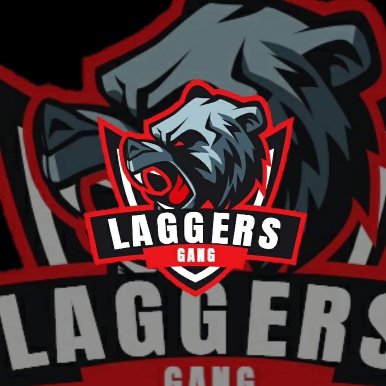 ROS-Laggers Gang