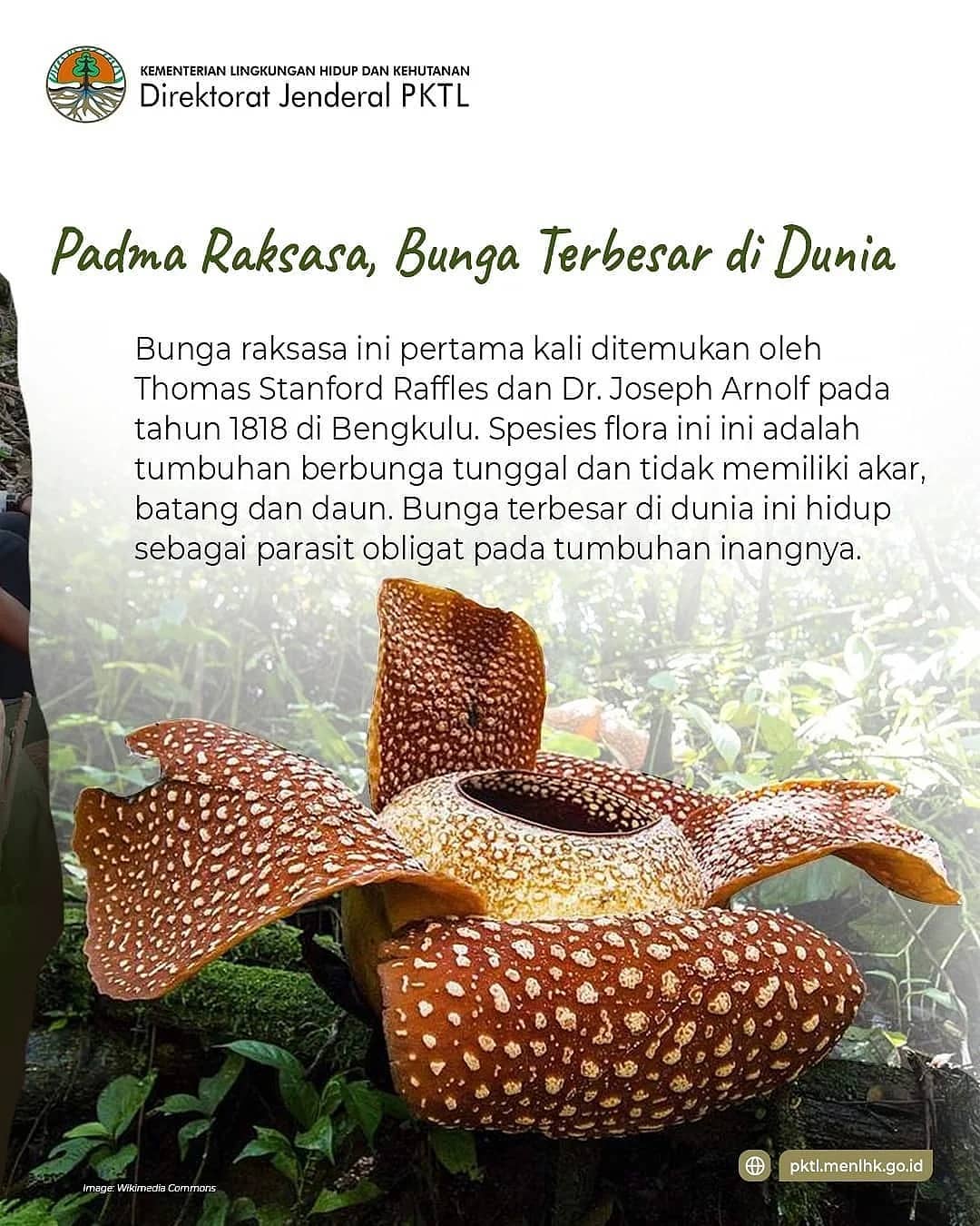 ditjenpktl.klhk - #SobatPlanologi, Bunga adalah bagian...
