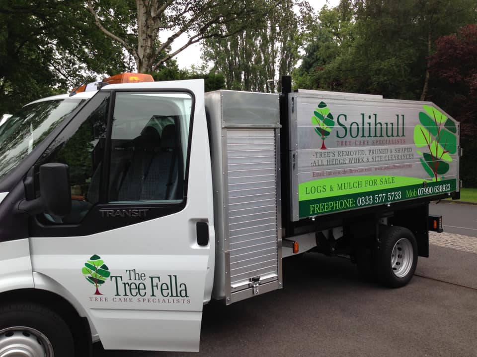 Solihull Tree Care Specialists | Solihull