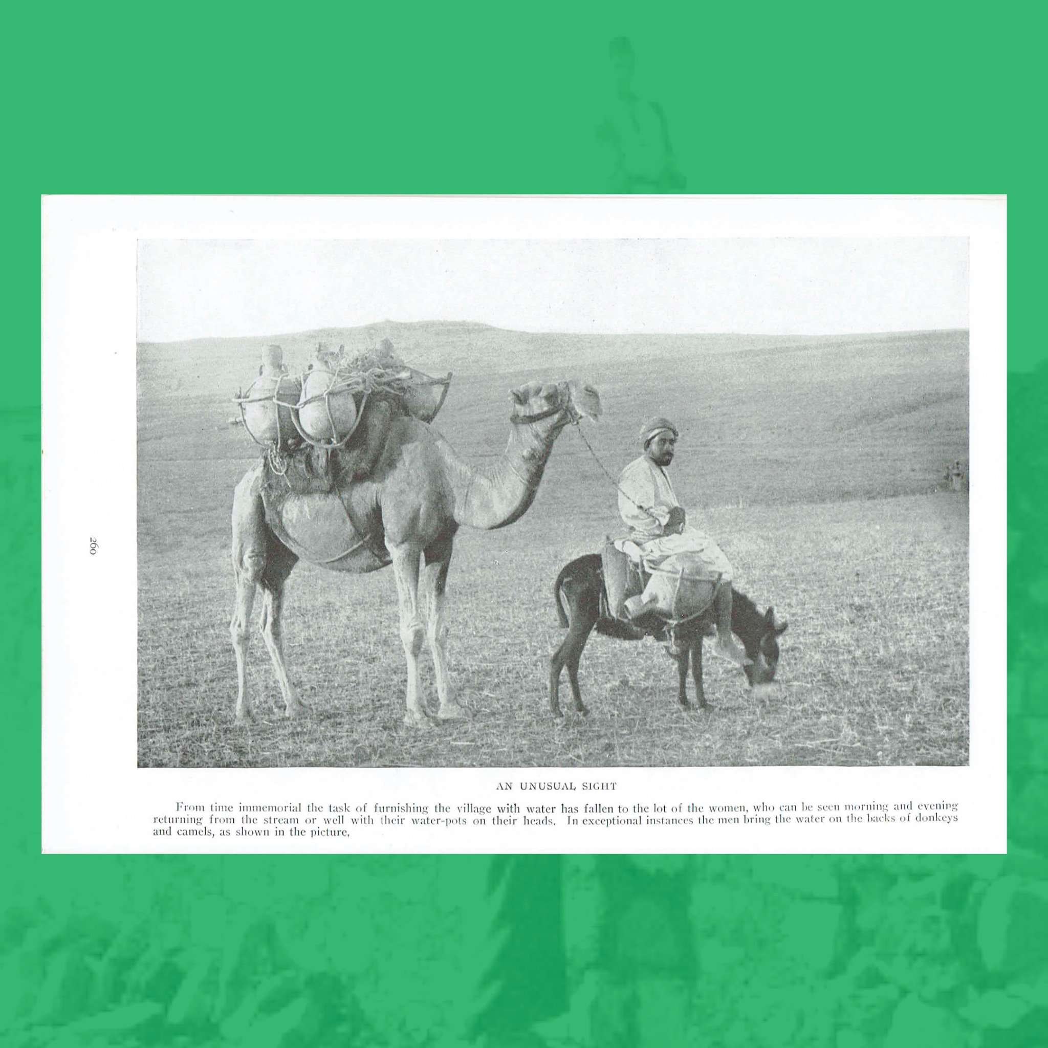 Handala - culture of Palestine