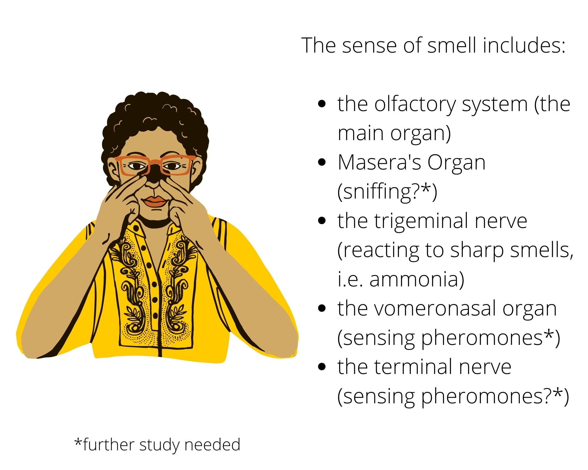 Aromadept - The sense of smell is complex. And this is not... | Facebook
