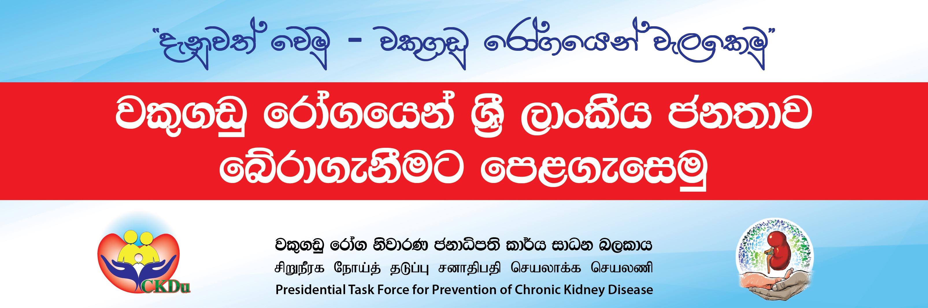 Presidential Task Force on Chronic Kidney Disease Prevention