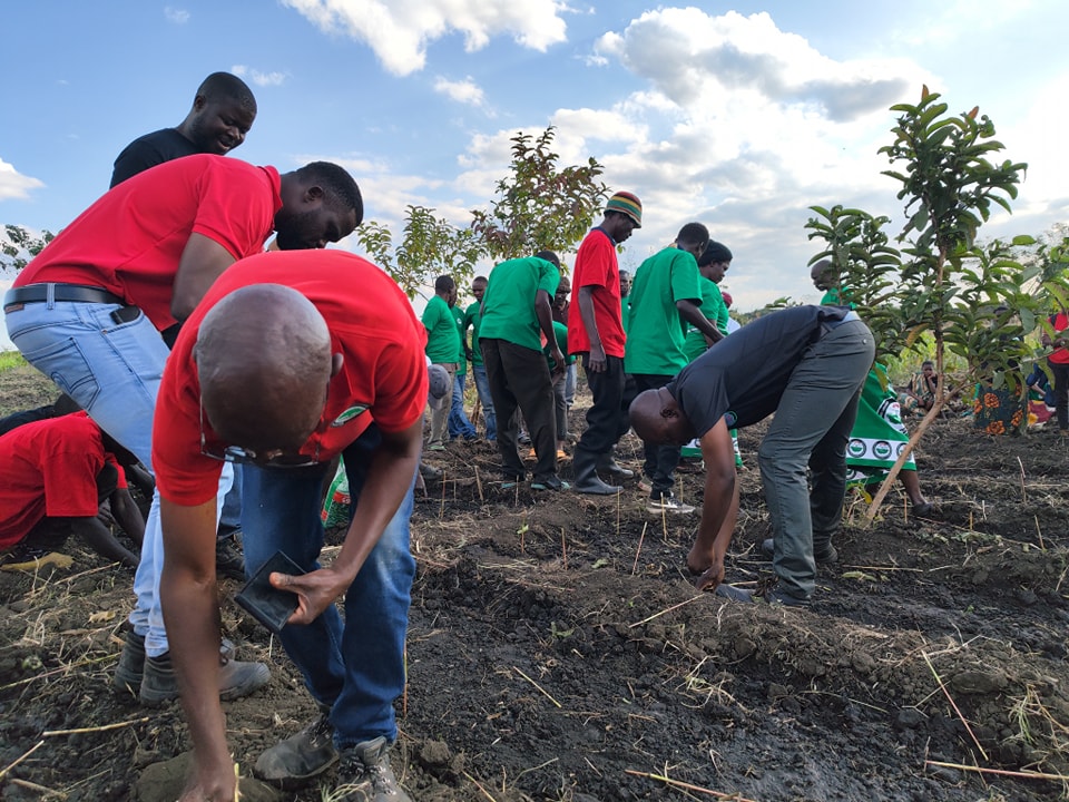 Malawi... - Malawi Enterprise Development Fund Limited- MEDF