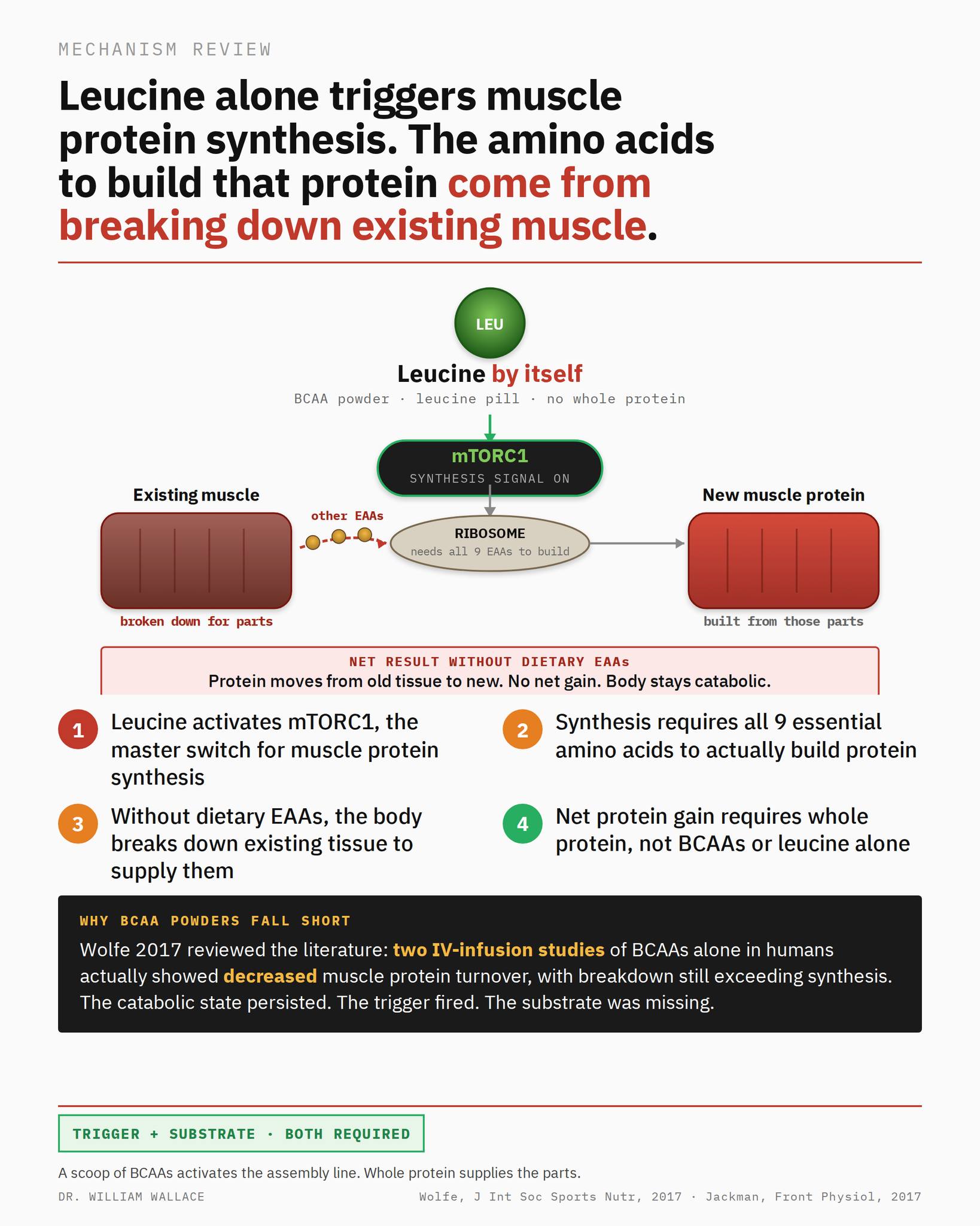 can l take l phenylalanine l carnitine and leucine together 10 foods high in & its benefits Collagen-based materials in male تونر يحسن مرونة البشرة 2. select quantity:1 Bottle