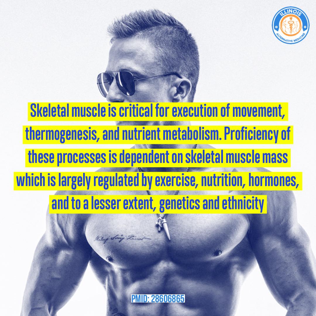 IAM Clinic - Skeletal #muscle is critical for execution of... | Facebook