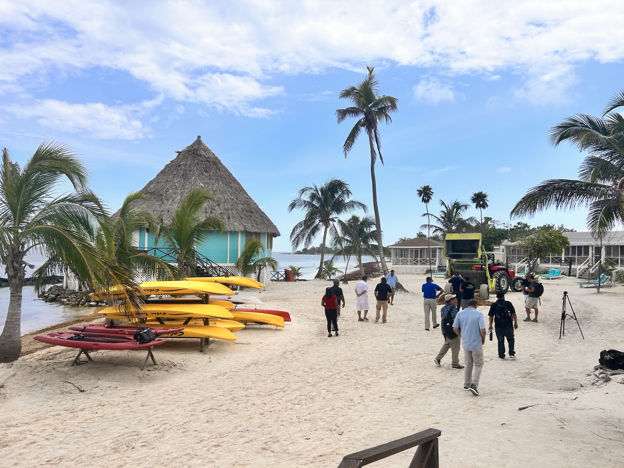Barber Surf Rake Belize | Belize City