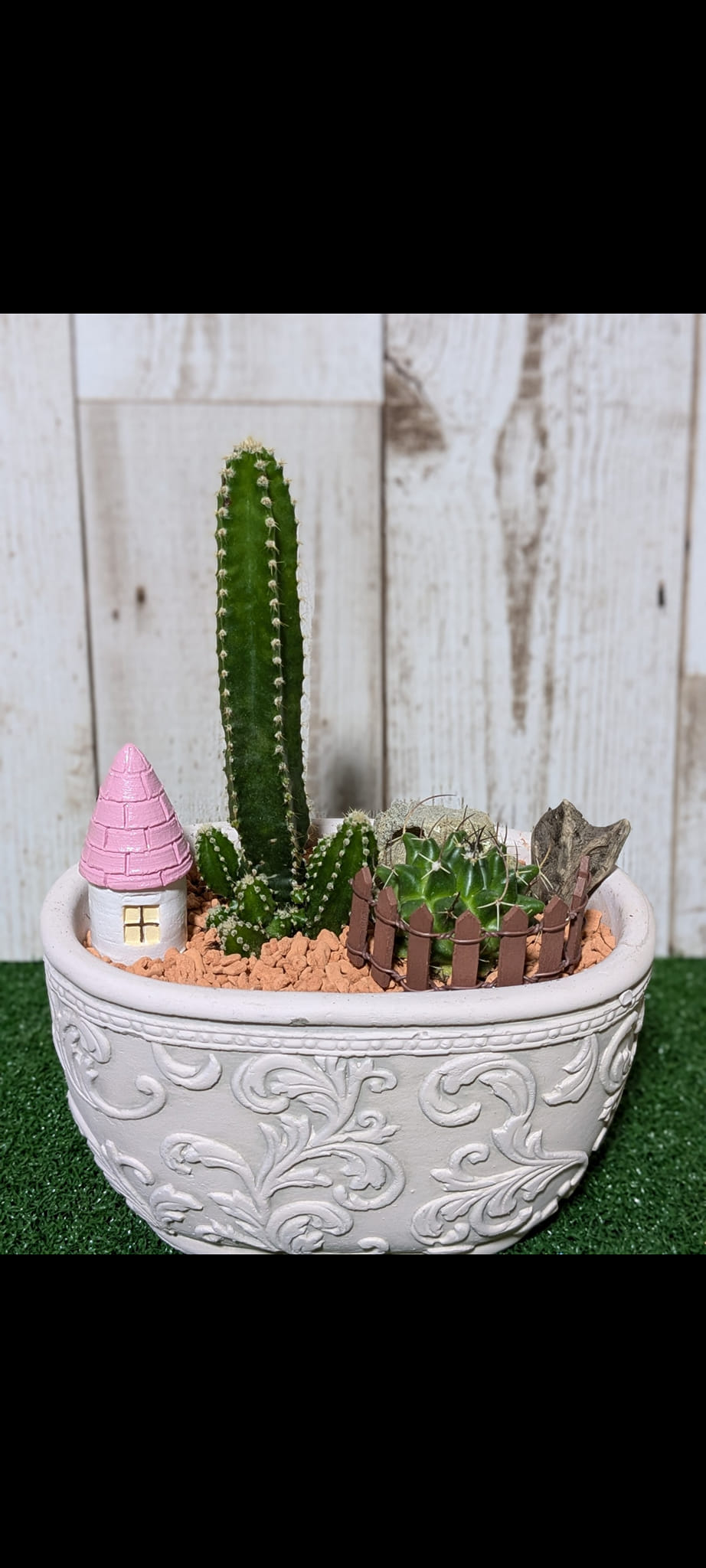 リメ缶多肉サボテン寄植え❢ 若々し