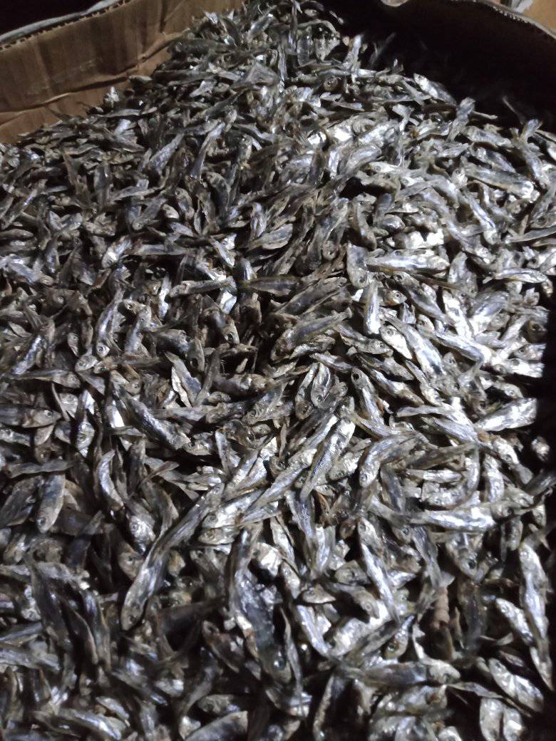 Samar dried fish, added a new photo. - Samar dried fish,