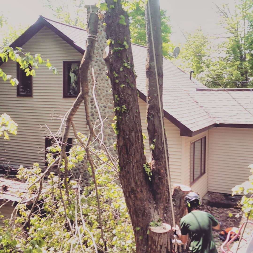 Outram Tree Solutions