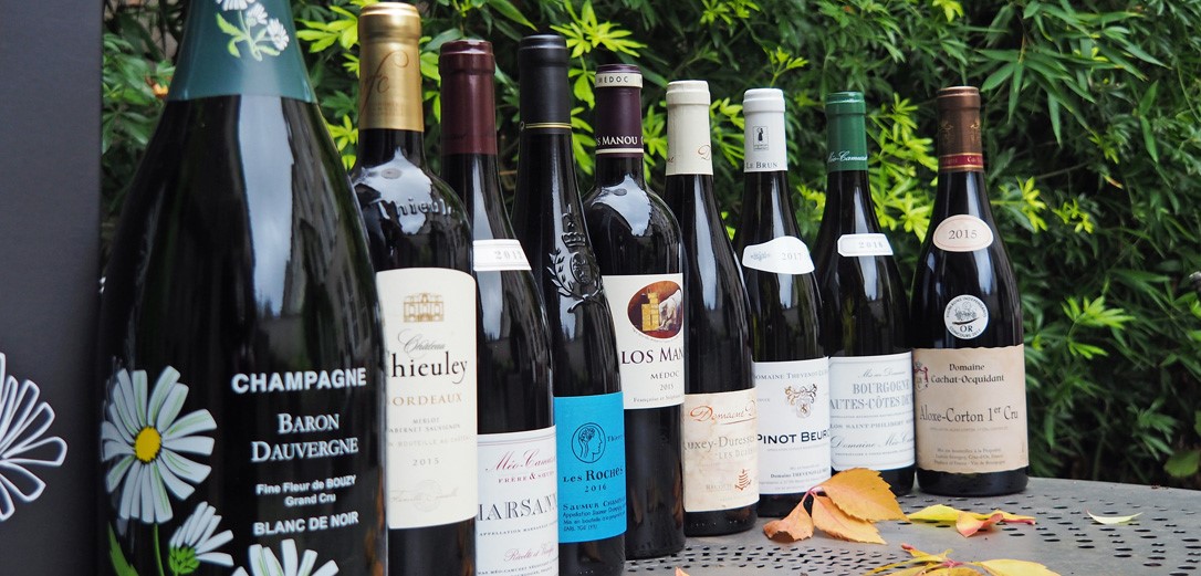 Conoces las diferencias entre un... - Instituto Interwine AC | Facebook