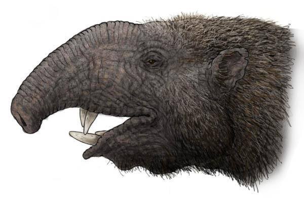 WORLD OF PREHISTORIC CREATURES | Barytherium Grave was a primitive ...