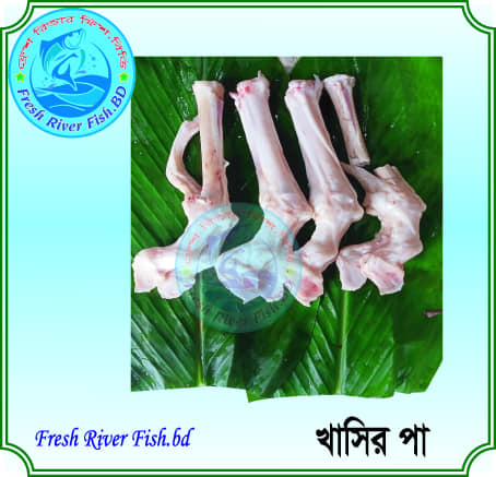 Fresh River Fish.BD | Dhaka