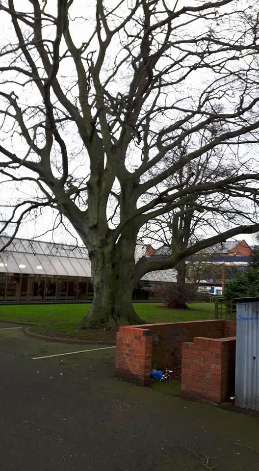 Simpsons tree works | Newark