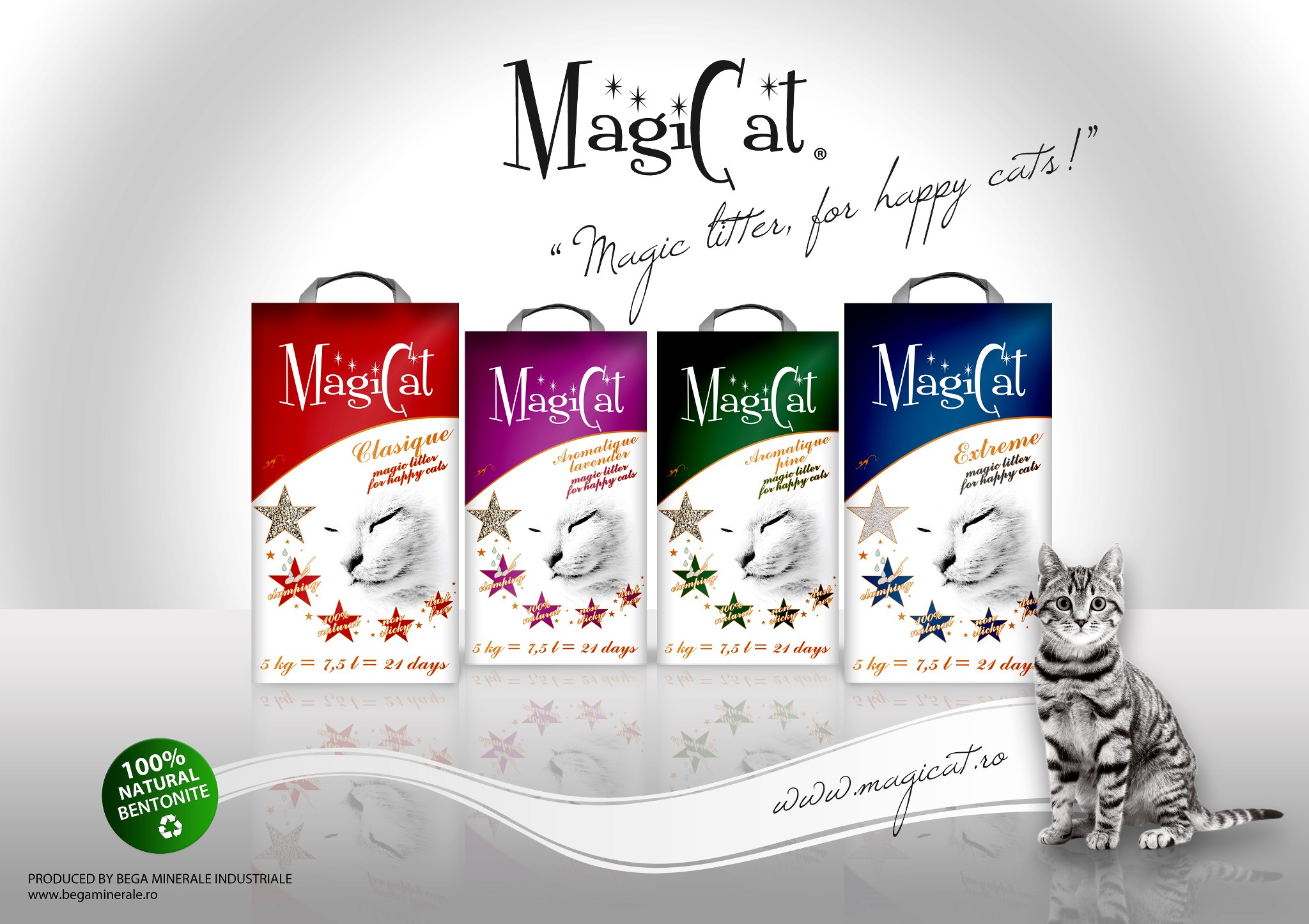 MagiCat