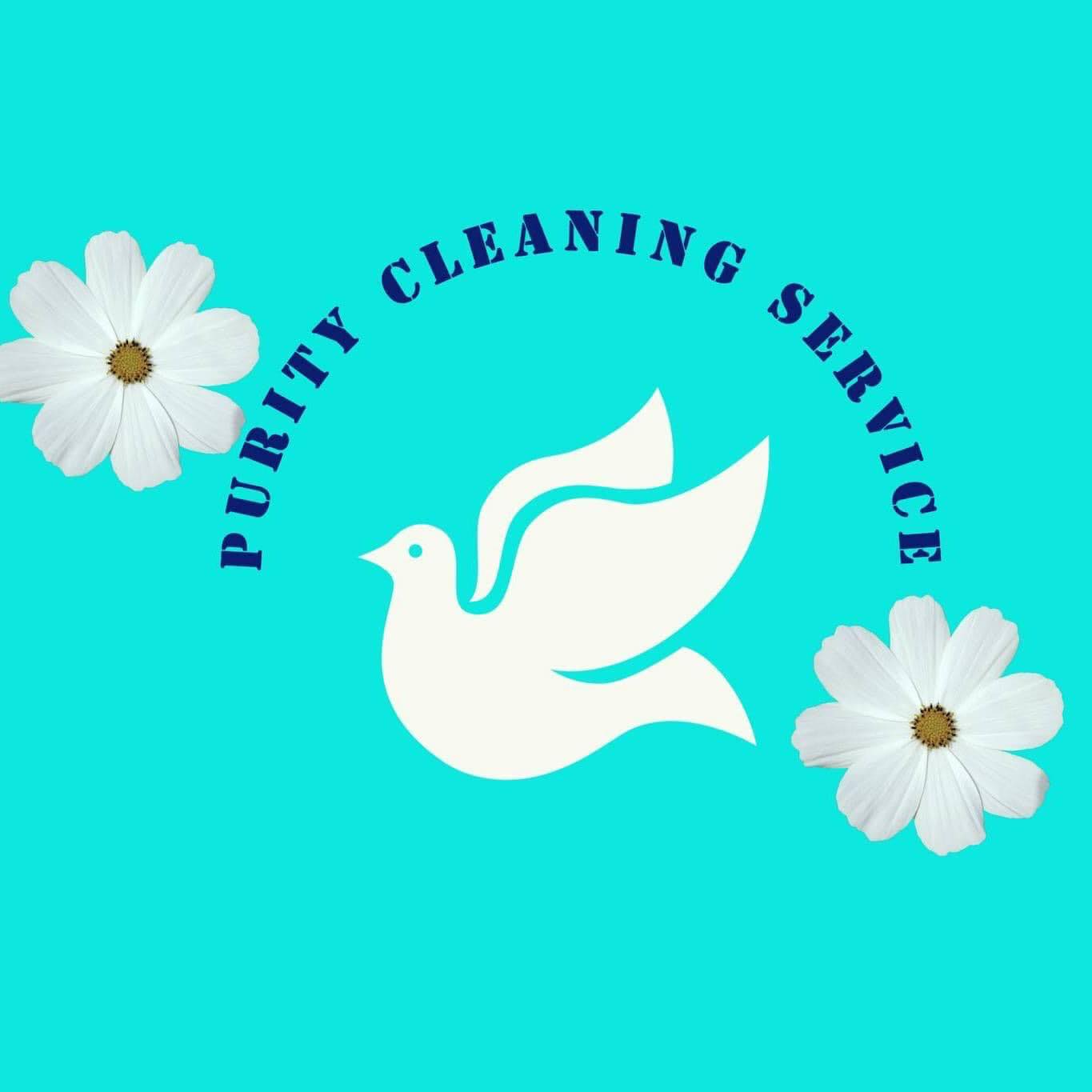 Purity Cleaning Service | Fort Worth TX