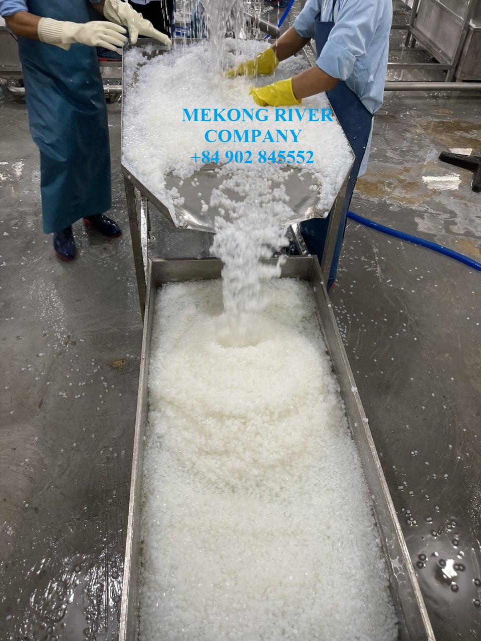 Mekong - To verify ChatGPT, we asked the question: What is Nata de coco ...