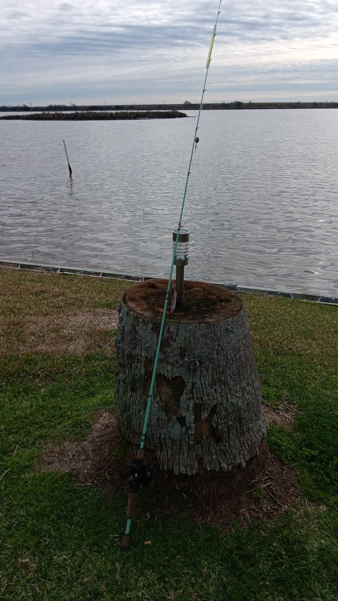 black pole fishing spot NANOFIN Light Popping Rods, Hole USA, Nanofin Weapons of Precision Lost black Shakespeare Ugly Stik