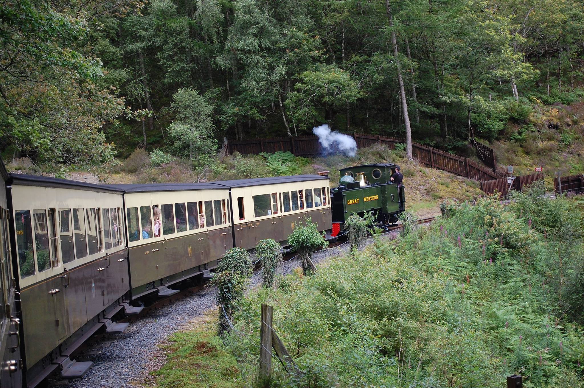📸 Photo Competition Entry 📸... - Vale of Rheidol Railway