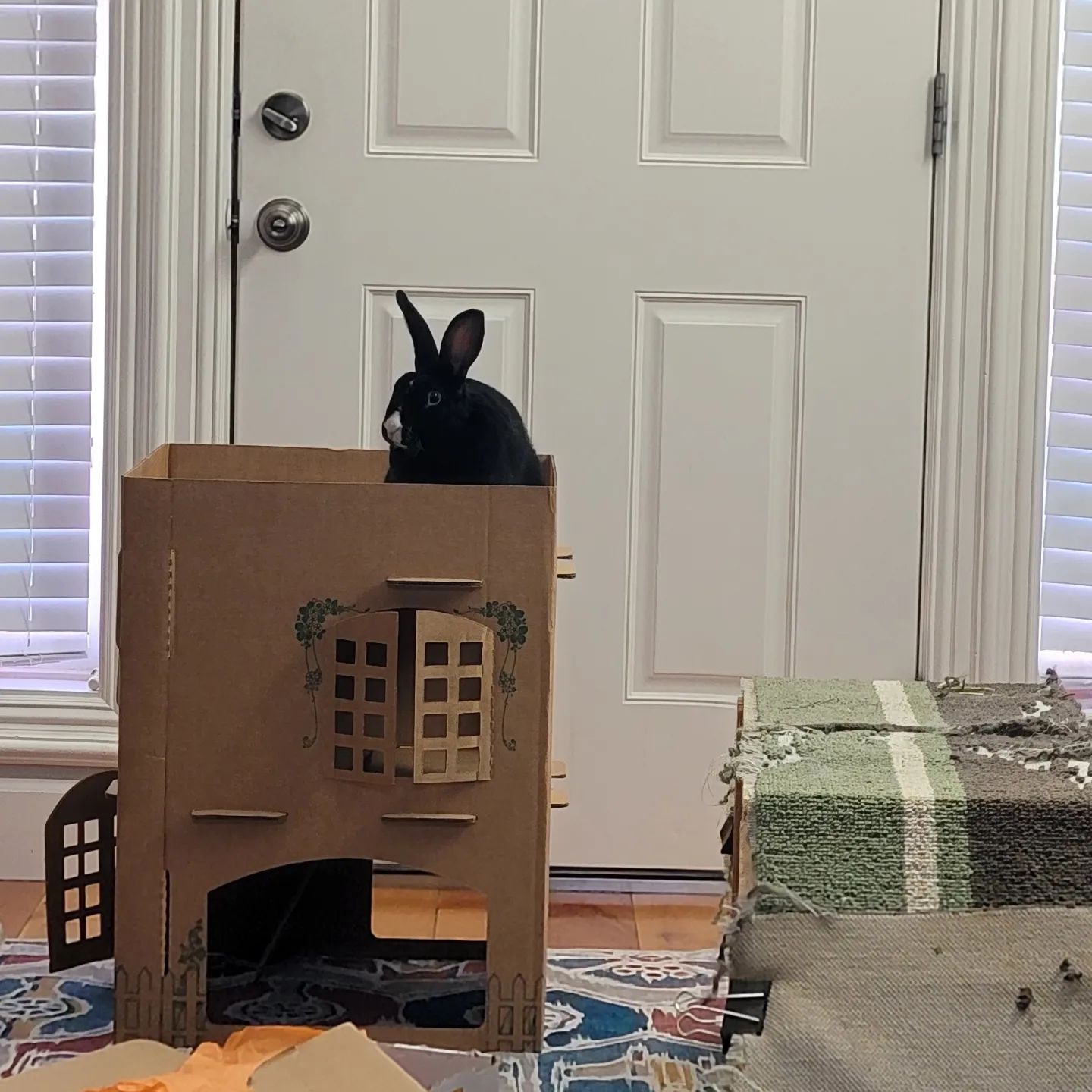 Reno Rabbit Advocates