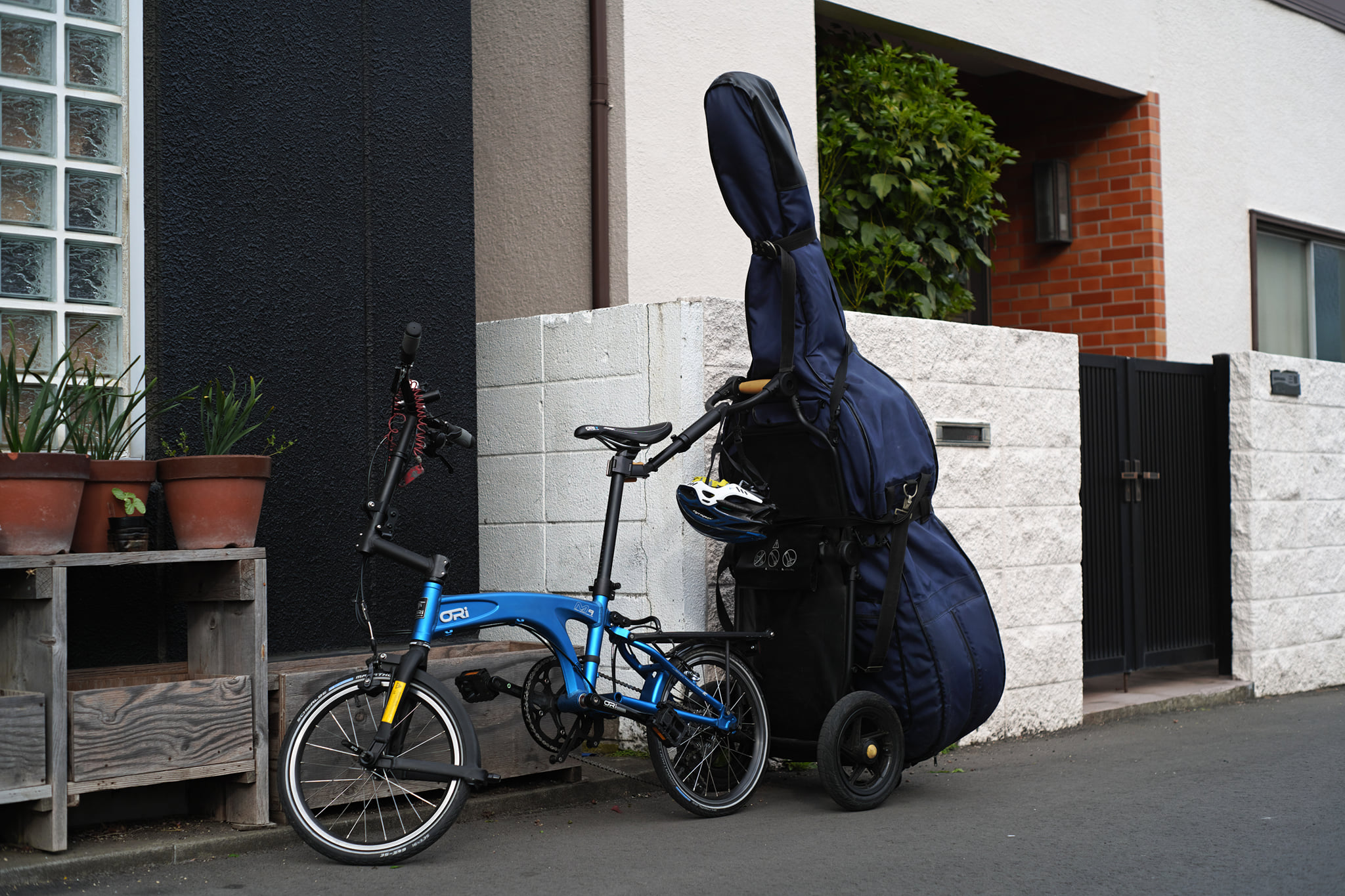 自転車でコントラバスを牽引して、ご来店。 これは、なかなか凄いぞ 