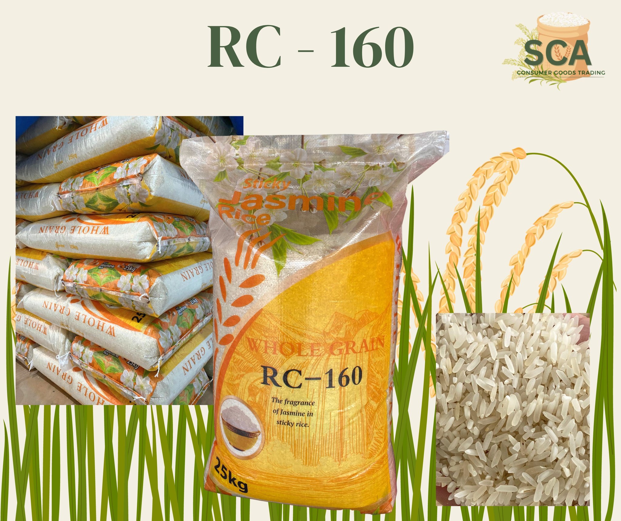 SCA Rice Center | Mangaldan