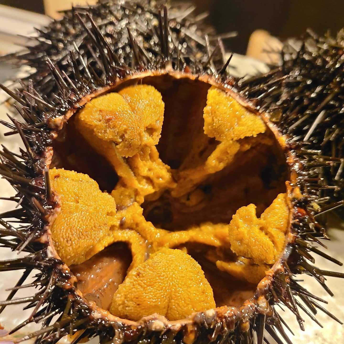 六本木飯家 りょう Startpagina Facebook