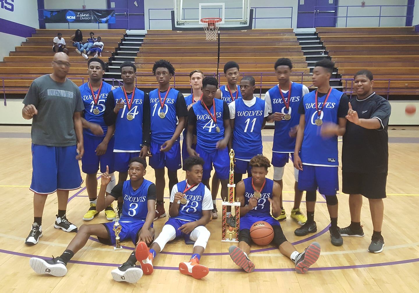 Metro Wolves Basketball Organization