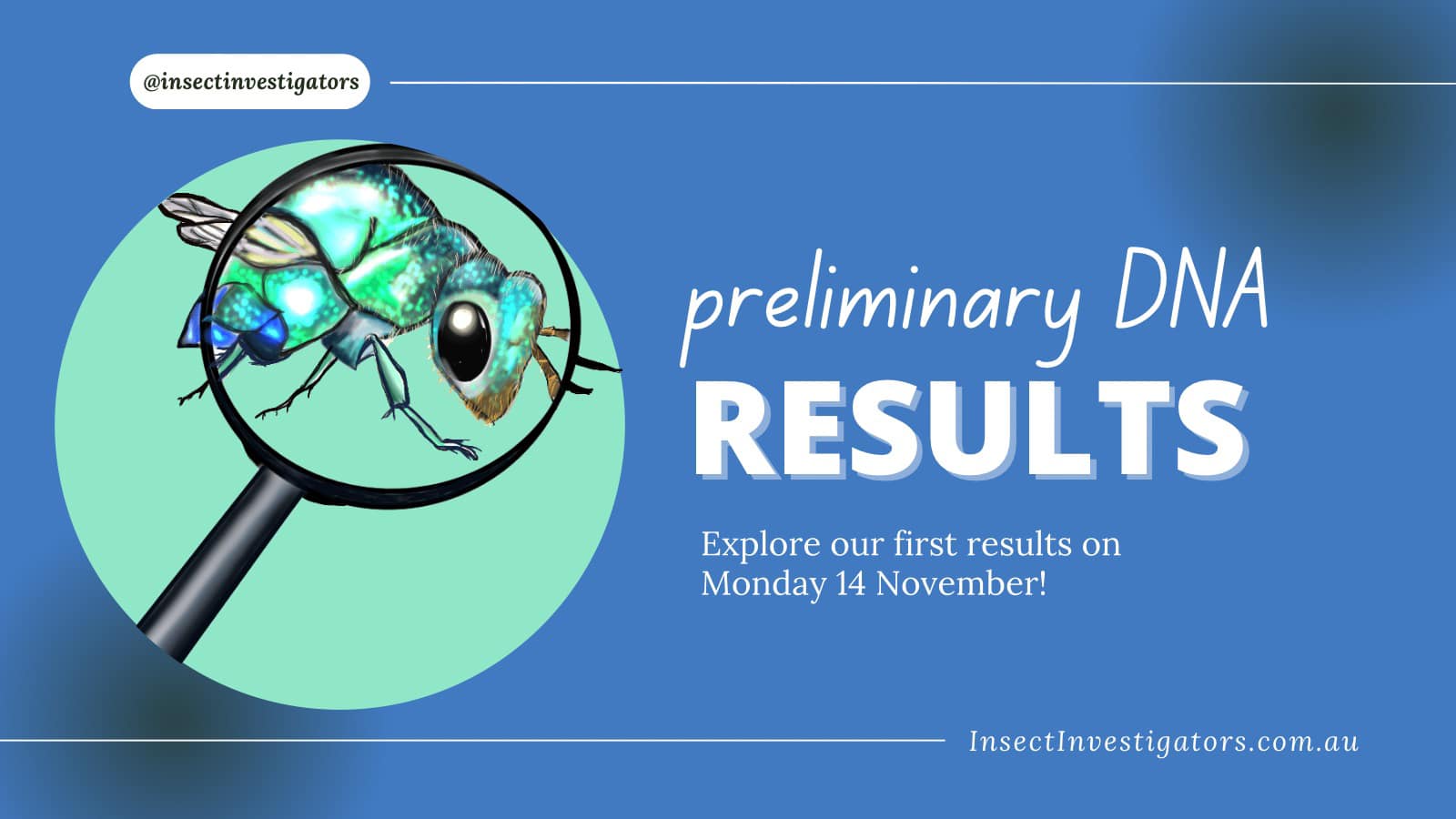 Insect Investigators