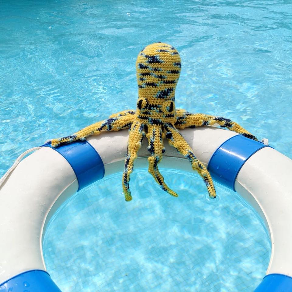 TOFT - Graeme the Octopus and batch 000006 has now become... | Facebook