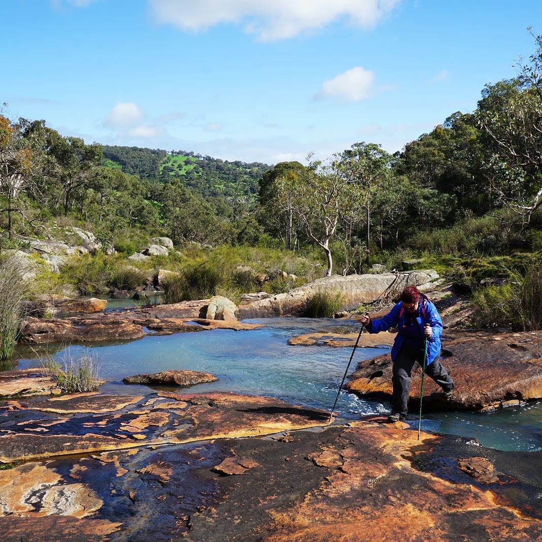 Djilba, in Noongar culture, is the... - Explore Parks WA | Facebook