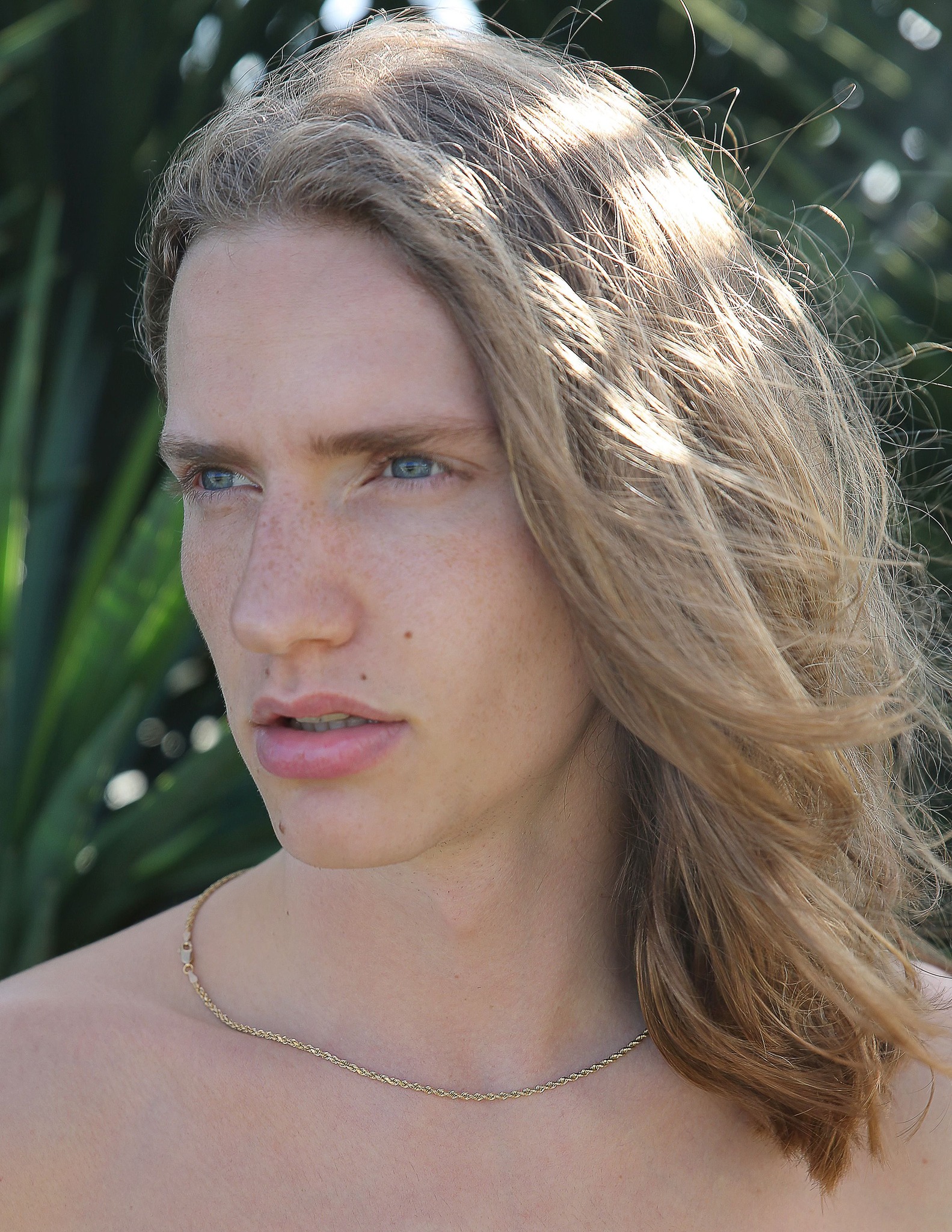 Lamar Lubarda