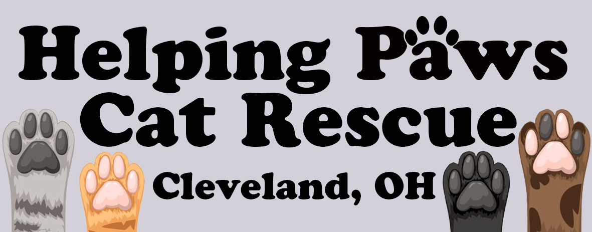 Helping Paws Cat Rescue